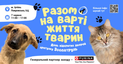 Телеканал Київ