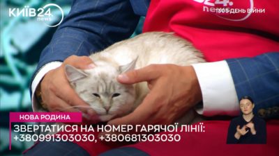 Телеканал Київ